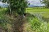 Land for sale in Khilek, Chiang Mai