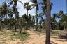 Land for sale in Mae Nam, Surat Thani
