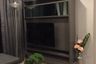 1 Bedroom Condo for rent in Rhythm Sukhumvit 36-38, Khlong Tan, Bangkok near BTS Thong Lo