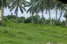 Land for sale in Huai Yang, Prachuap Khiri Khan
