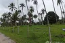 Land for sale in Huai Yang, Prachuap Khiri Khan