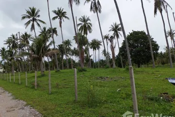 Land for sale in Huai Yang, Prachuap Khiri Khan