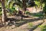 Land for sale in Umong, Lamphun