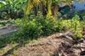 Land for sale in Umong, Lamphun