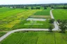 Land for sale in Pa Pong, Chiang Mai