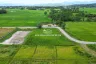 Land for sale in Pa Pong, Chiang Mai