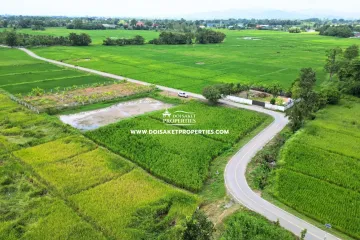 Land for sale in Pa Pong, Chiang Mai