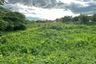 Land for sale in San Sai Noi, Chiang Mai