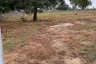 Land for sale in Nong Pla Lai, Chonburi