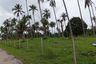Land for sale in Huai Yang, Prachuap Khiri Khan