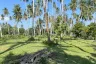 Land for sale in Maret, Surat Thani
