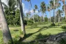 Land for sale in Maret, Surat Thani