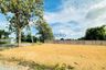 Land for sale in Pong, Chonburi