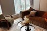 1 Bedroom Condo for rent in The Residences 38, Phra Khanong, Bangkok near BTS Thong Lo