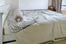 2 Bedroom Condo for rent in Ideo Mobi Sukhumvit 81, Bang Chak, Bangkok near BTS On Nut