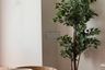 2 Bedroom Condo for rent in Altitude Symphony Charoenkrung - Sathorn, Wat Phraya Krai, Bangkok near BTS Saphan Taksin