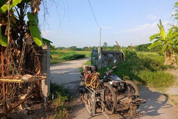 Land for sale in Han Kaeo, Chiang Mai