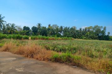 Land for sale in Wang Phong, Prachuap Khiri Khan