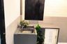 2 Bedroom Townhouse for rent in Don Mueang, Bangkok near Airport Rail Link Don Mueang