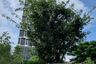 1 Bedroom Condo for rent in Phra Khanong, Bangkok near BTS On Nut