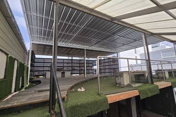 5 Bedroom Commercial for rent in Khlong Tan Nuea, Bangkok