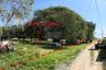 1 Bedroom Land for sale in Bo Nok, Prachuap Khiri Khan