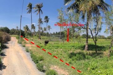 1 Bedroom Land for sale in Bo Nok, Prachuap Khiri Khan
