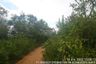 1 Bedroom Land for sale in Bo Nok, Prachuap Khiri Khan
