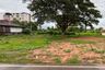 Land for sale in Nong Han, Chiang Mai