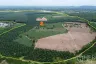 Land for sale in Nong Irun, Chonburi