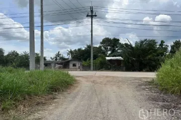 Land for sale in Nong Irun, Chonburi