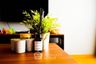 1 Bedroom Condo for Sale or Rent in Noble Revo Silom, Silom, Bangkok near BTS Surasak