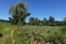 Land for sale in Thap Tai, Prachuap Khiri Khan