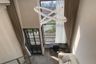 1 Bedroom Condo for rent in SO Origin Kaset Interchange, Sena Nikhom, Bangkok near BTS Kasetsart University