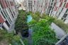 2 Bedroom Condo for sale in Khlong Tan Nuea, Bangkok