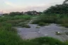 Land for rent in Na Kluea, Chonburi