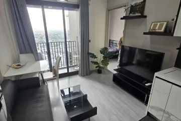1 Bedroom Condo for rent in The Line sukhumvit 101, Bang Chak, Bangkok near BTS Punnawithi
