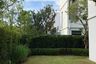 3 Bedroom House for rent in VIVE Rama 9, Saphan Sung, Bangkok
