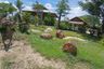 Land for sale in Tha Wang Phrao, Chiang Mai