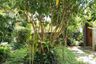 5 Bedroom House for rent in Summit Green Valley, Mae Sa, Chiang Mai