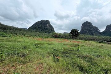 Land for sale in Nong Thale, Krabi