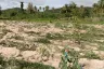 Land for sale in Tha Yang, Phetchaburi