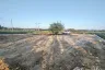 Land for sale in Sa-nga Ban, Chiang Mai