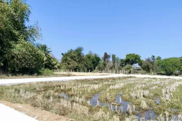 Land for sale in Sa-nga Ban, Chiang Mai