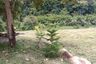 Land for sale in Huai Kaeo, Chiang Mai