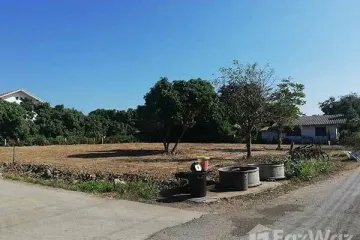Land for sale in Buak Khang, Chiang Mai