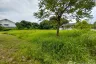 Land for sale in Buak Khang, Chiang Mai