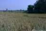 Land for sale in San Kamphaeng, Chiang Mai