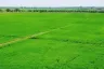 Land for sale in San Kamphaeng, Chiang Mai