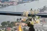 Condo for rent in Chapter Charoennakhorn-Riverside, Bang Lamphu Lang, Bangkok near BTS Krung Thon Buri